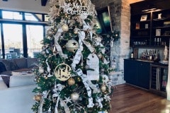 Stony Oaks Entry at Christmas 3