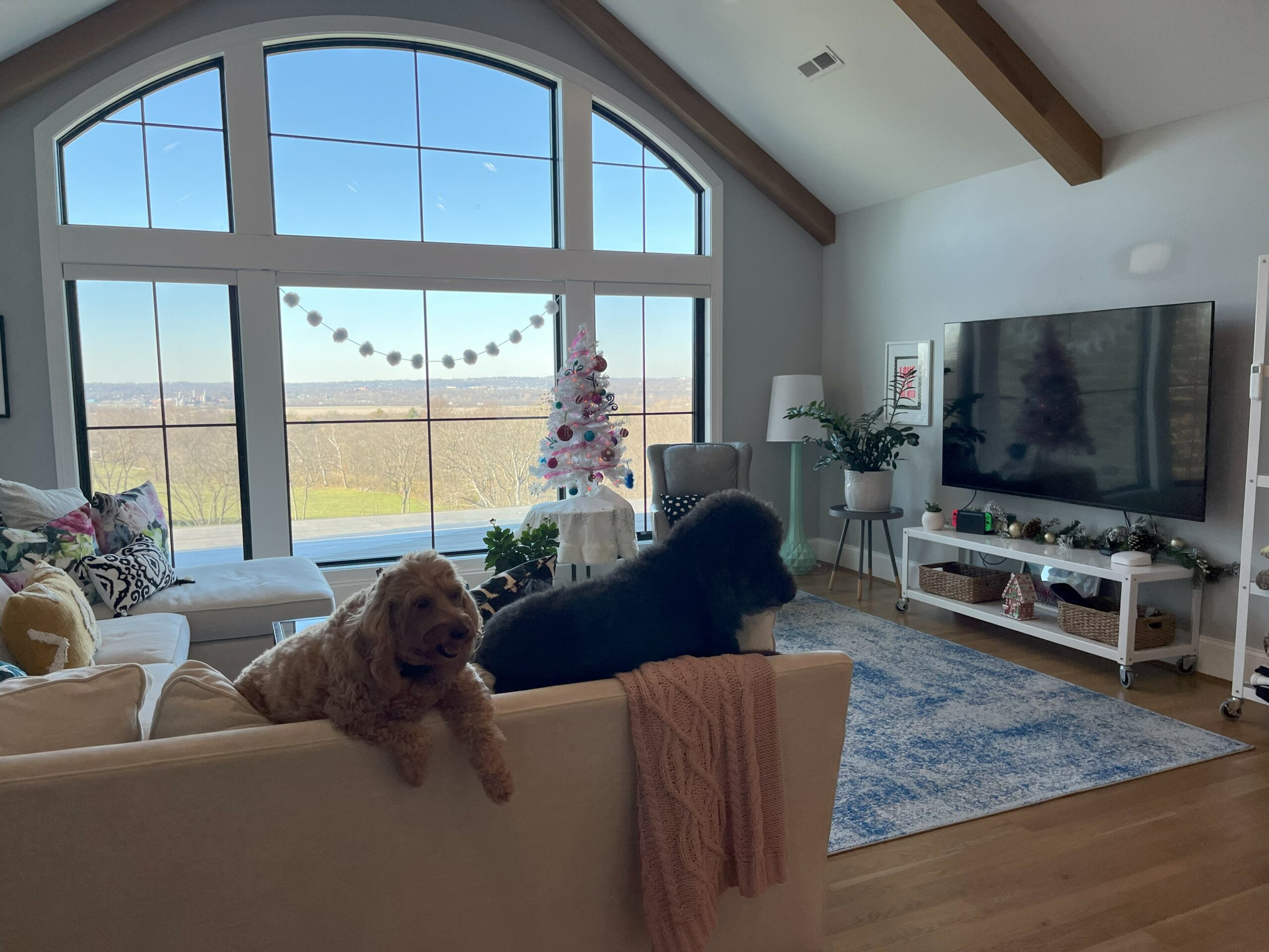 Bonus Room Decorated for Christmas at Mulberry Ridge